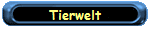 ... Gizmo`s  Tierwelt !